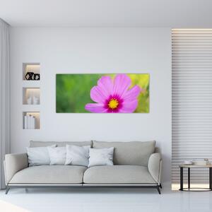 Slika - livadski cvijet (120x50 cm)