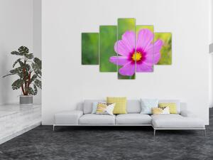 Slika - livadski cvijet (150x105 cm)