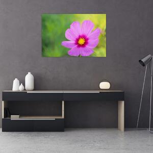 Slika - livadski cvijet (90x60 cm)
