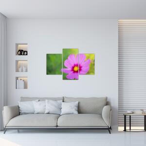 Slika - livadski cvijet (90x60 cm)
