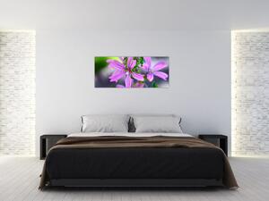 Detaljna slika cvijeta (120x50 cm)