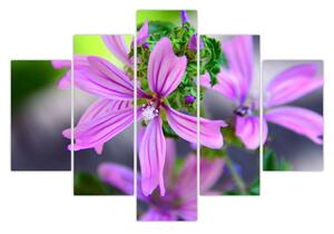 Detaljna slika cvijeta (150x105 cm)
