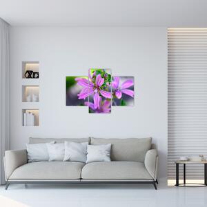 Detaljna slika cvijeta (90x60 cm)