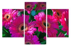 Slika - cvijeće (90x60 cm)