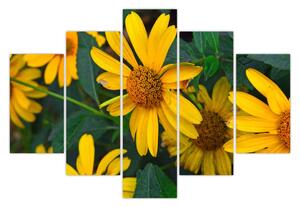 Slika žutih cvjetova (150x105 cm)