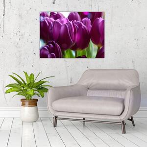 Slika tulipana (70x50 cm)