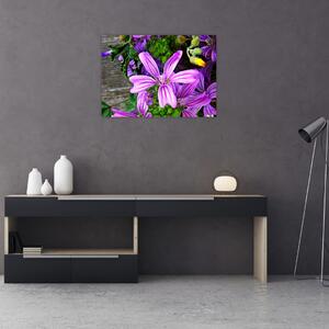 Slika - livadsko cvijeće (70x50 cm)