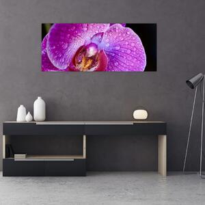 Detajlna slika cvijeta orhideje (120x50 cm)
