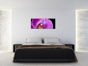 Detajlna slika cvijeta orhideje (120x50 cm)