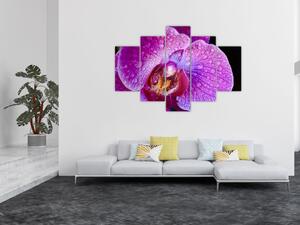 Detajlna slika cvijeta orhideje (150x105 cm)