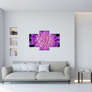 Detaljna slika cvijeta (90x60 cm)