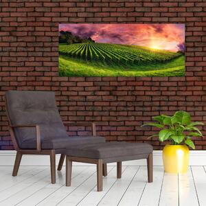 Slika vinograda s obojenim nebom (120x50 cm)