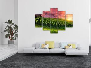 Slika vinograda s obojenim nebom (150x105 cm)