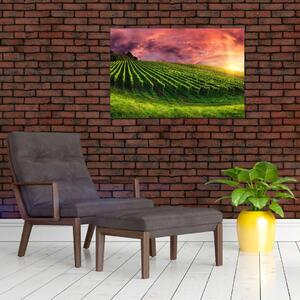 Slika vinograda s obojenim nebom (90x60 cm)