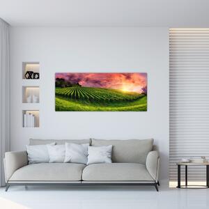 Slika vinograda s obojenim nebom (120x50 cm)
