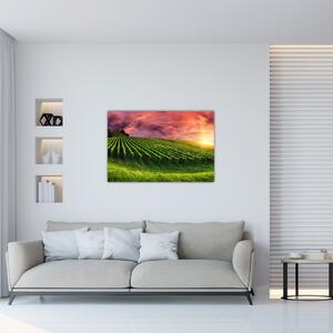 Slika vinograda s obojenim nebom (90x60 cm)
