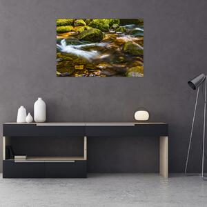 Slika potoka (90x60 cm)