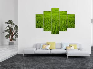 Slika trave (150x105 cm)