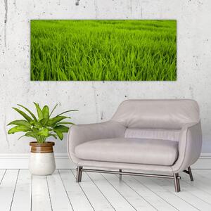 Slika trave (120x50 cm)
