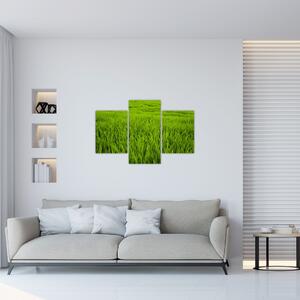 Slika trave (90x60 cm)