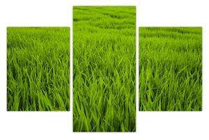 Slika trave (90x60 cm)