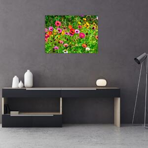 Slika livadskog cvijeća (70x50 cm)