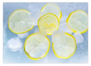 Slika limuna u ledu (70x50 cm)