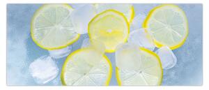 Slika limuna u ledu (120x50 cm)