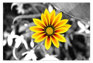 Slika žutog cvijeta (90x60 cm)