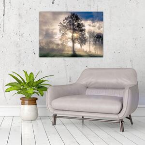 Slika drveta u magli (70x50 cm)