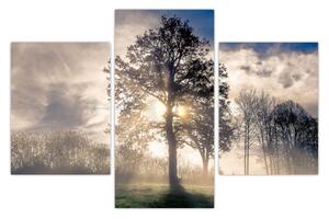 Slika drveta u magli (90x60 cm)