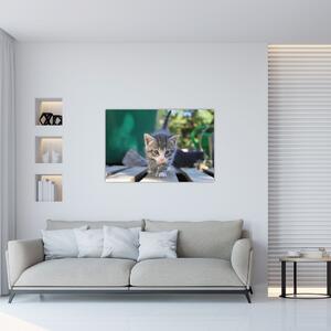 Slika mačića (90x60 cm)