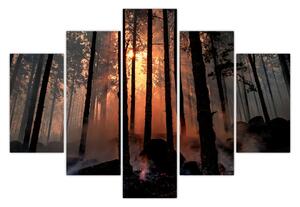 Slika mračne šume (150x105 cm)