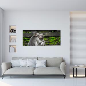 Slika - majmuni (120x50 cm)
