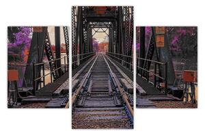 Slika željezničkog mosta (90x60 cm)
