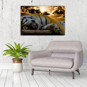 Slika usnulog tigra (90x60 cm)