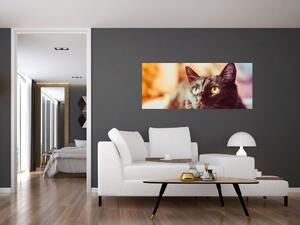 Slika crne mačke (120x50 cm)