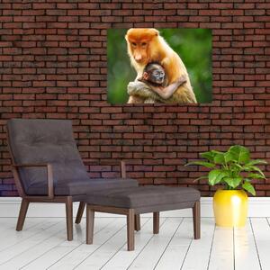 Slika majmuna (70x50 cm)