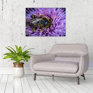 Slika pčele na cvijetu (70x50 cm)