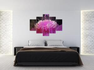 Slika cvijeta u ružičastom dimu (150x105 cm)