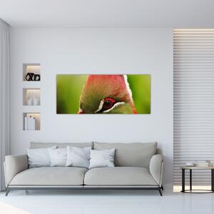 Slika šarene ptice (120x50 cm)