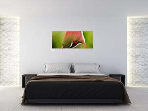 Slika šarene ptice (120x50 cm)