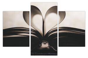 Slika knjige (90x60 cm)