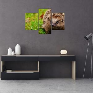 Slika ježa (90x60 cm)