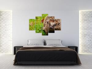 Slika ježa (150x105 cm)