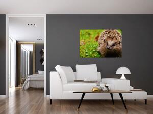 Slika ježa (90x60 cm)