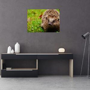 Slika ježa (70x50 cm)