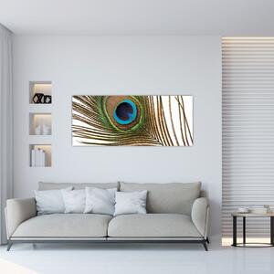 Slika paunovog perja (120x50 cm)