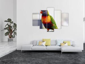 Slika papige (150x105 cm)