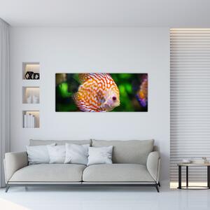 Slika ribe (120x50 cm)